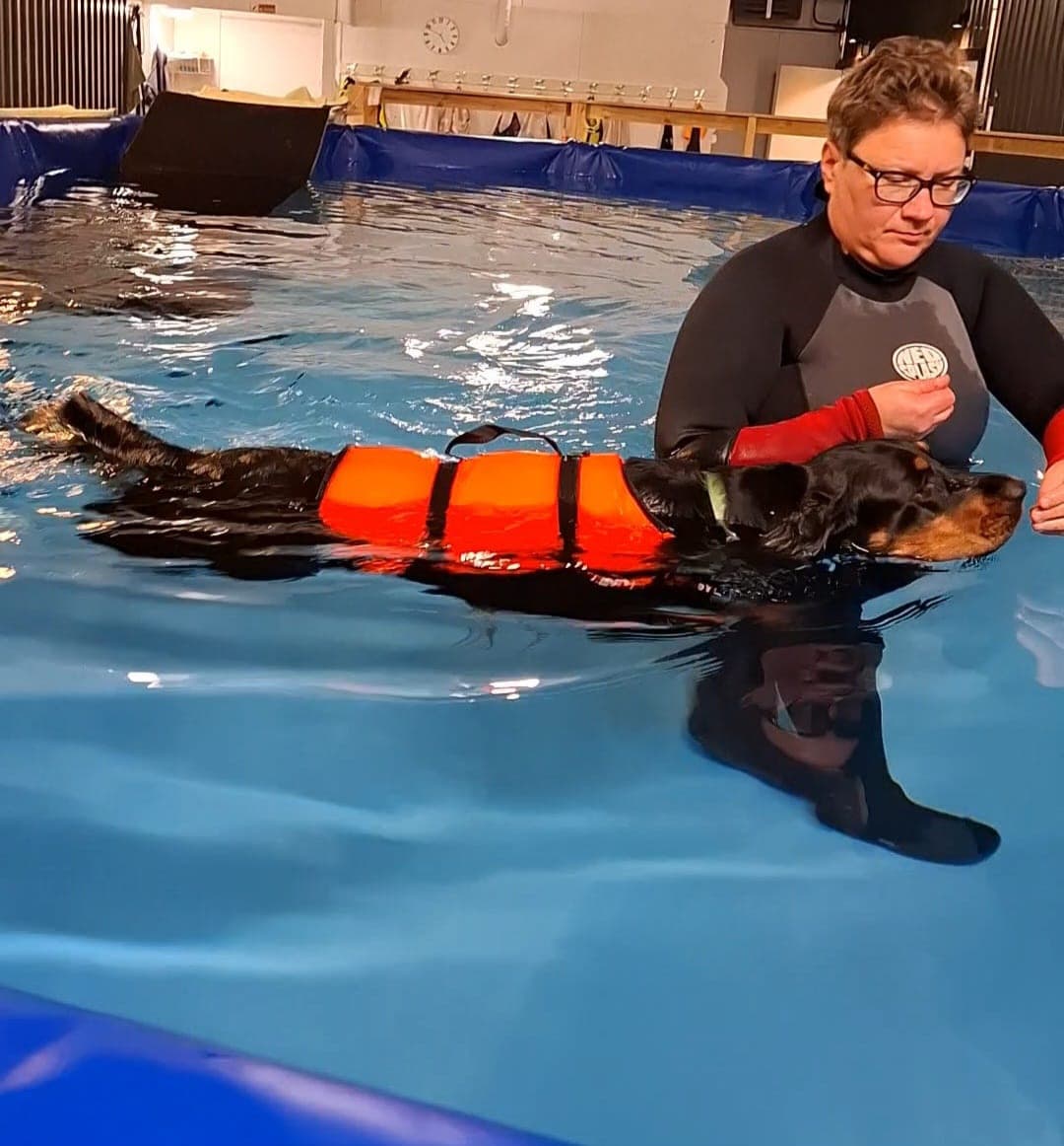 Keski-Suomen Koirauimala